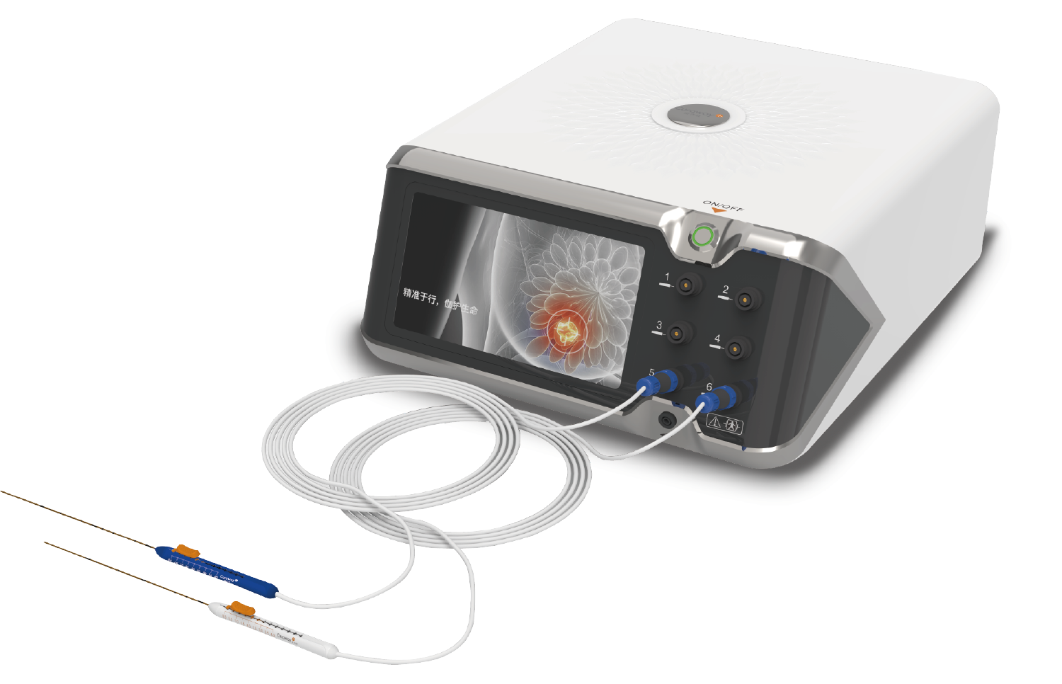 Eletroporação Irreversível (IRE)